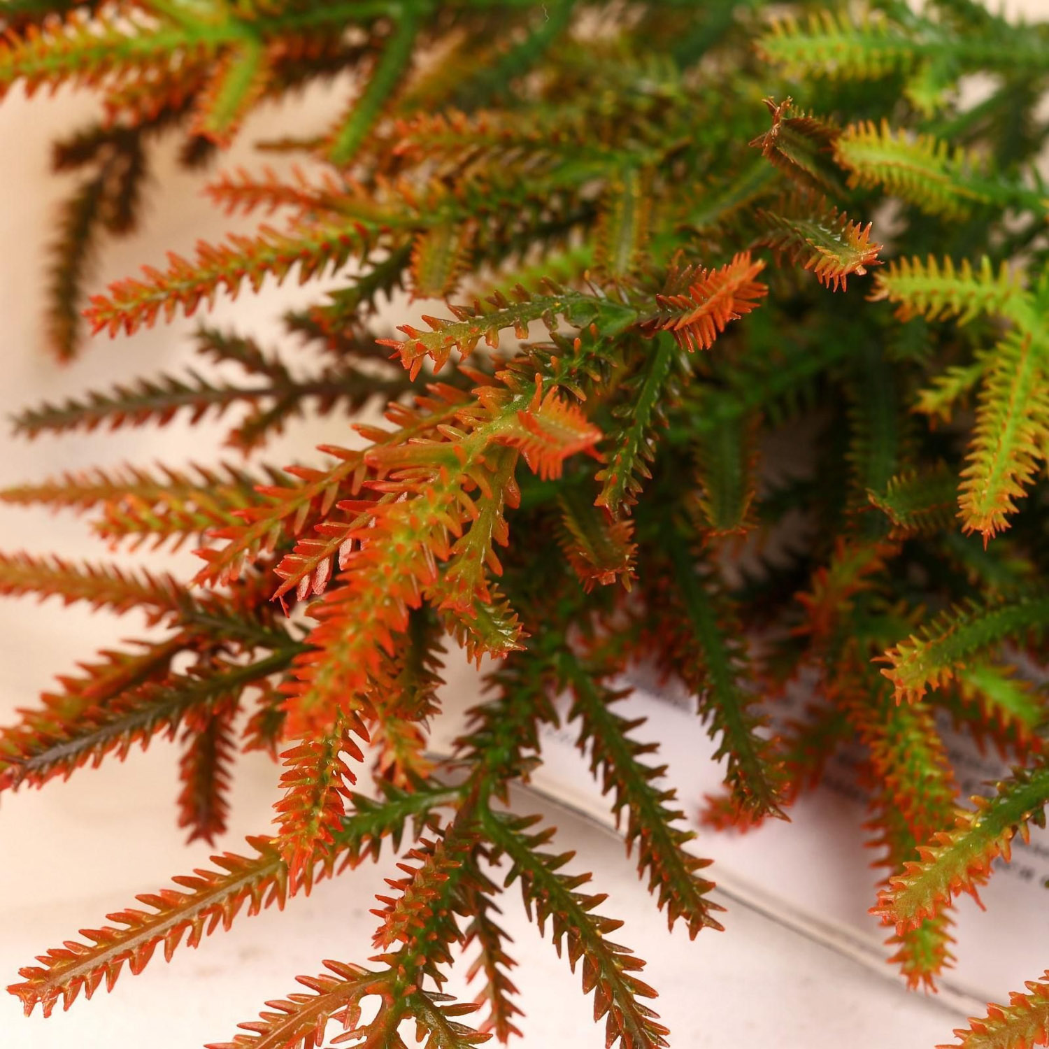 Букет "Колючие веточки" 30 см микс   5664409