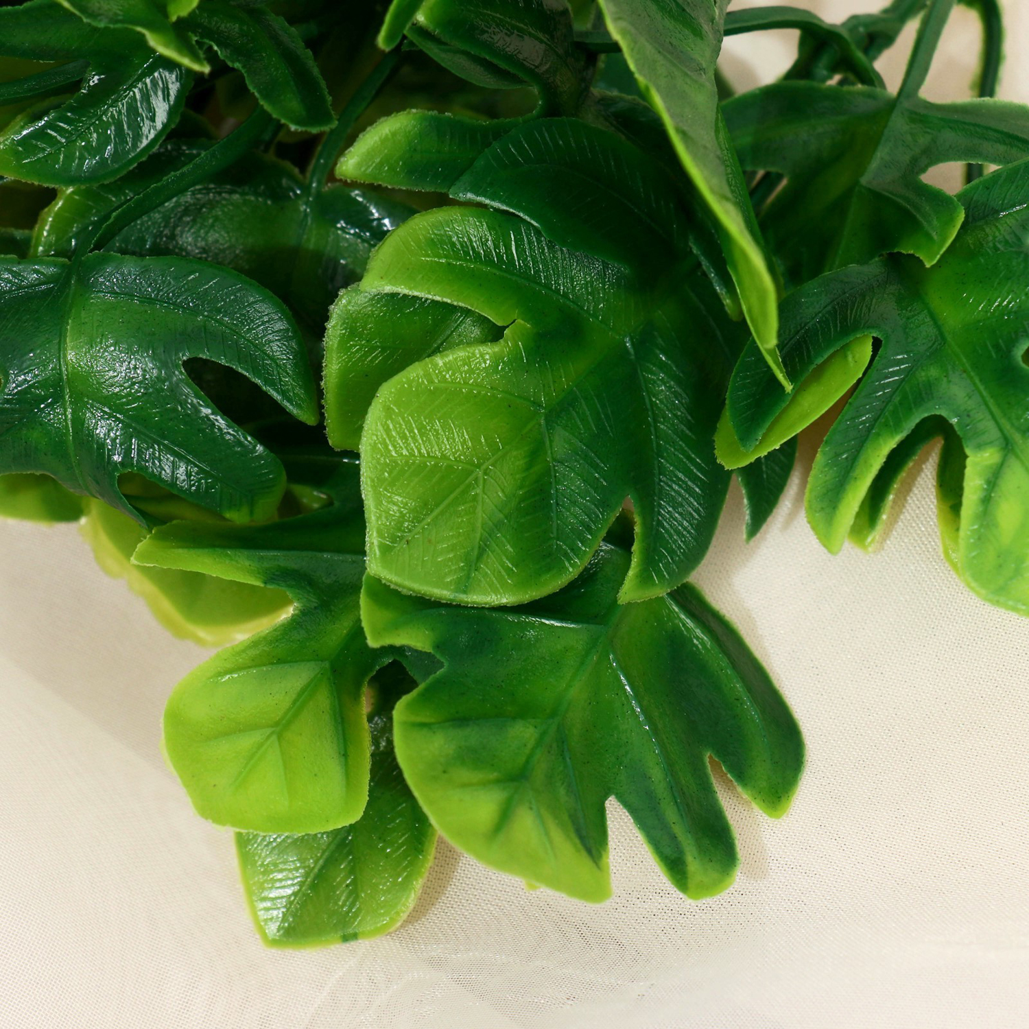 Букет "Филодендрон" 24 м, зелёный   9229367