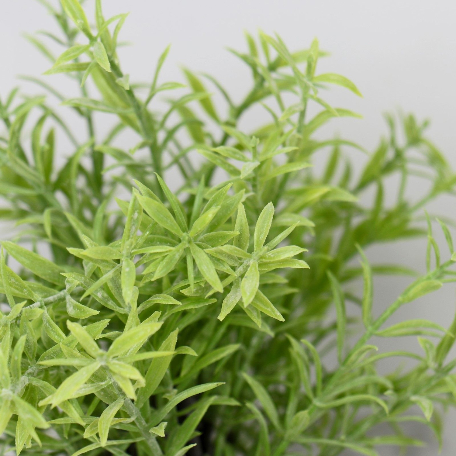 Бонсай "Розмарин" 7,5х21 см 7081330