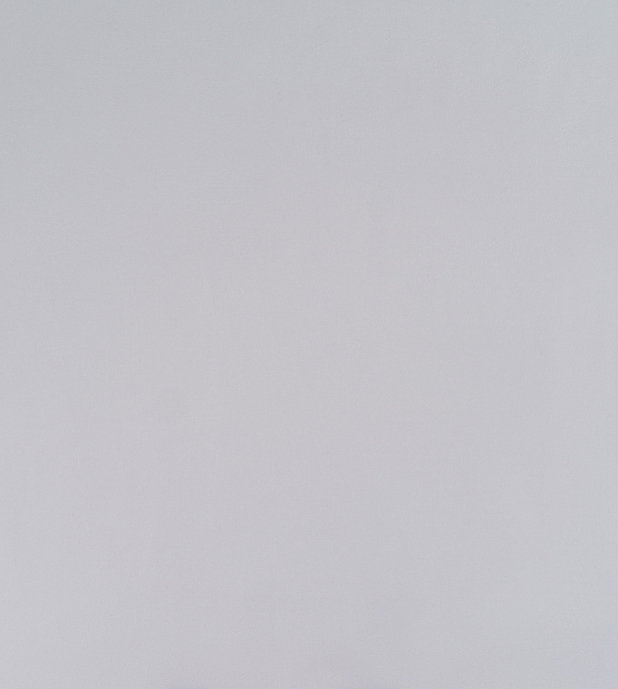 Обои флиз. Артекс EcoLine Дельта 10861-04 10х1.06м  *1/6