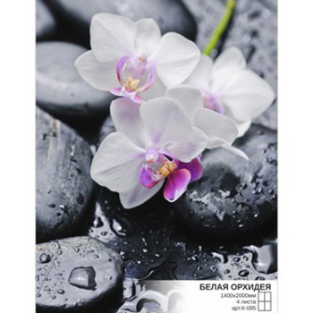 Фотообои Симфония К-095 "Белая орхидея" 2,8*2,0 м (8 л.) *1 (туба с клеем)