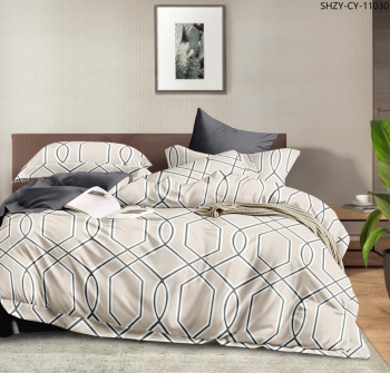 Постельное белье 2сп-М сатин Орхидея 2504, наволочки 70*70 - 2шт *1/6