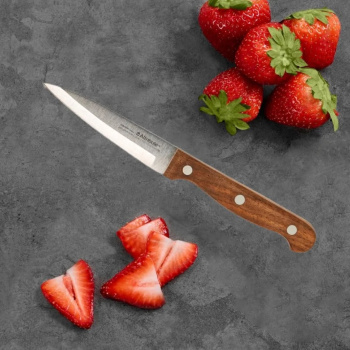 Нож кухонный ATTRIBUTE  дер.руч. Country д/фруктов дл.лезв.9см AKC204 блистер *1/6/72