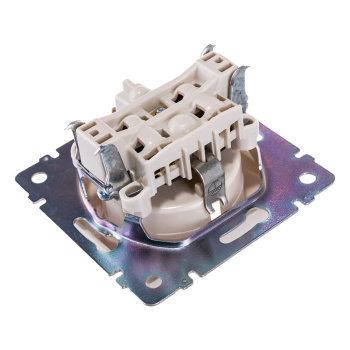 Механизм розетки "Valena" 1-м. с з/к., сл.кость Leg SchE 774320 *1/10