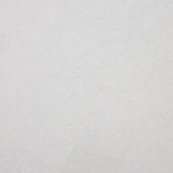 Дверь межкомнатная глухая грунтованная Белая 800 мм BROZEX-WOOD*1